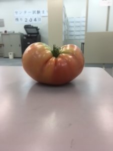ハート型トマト！