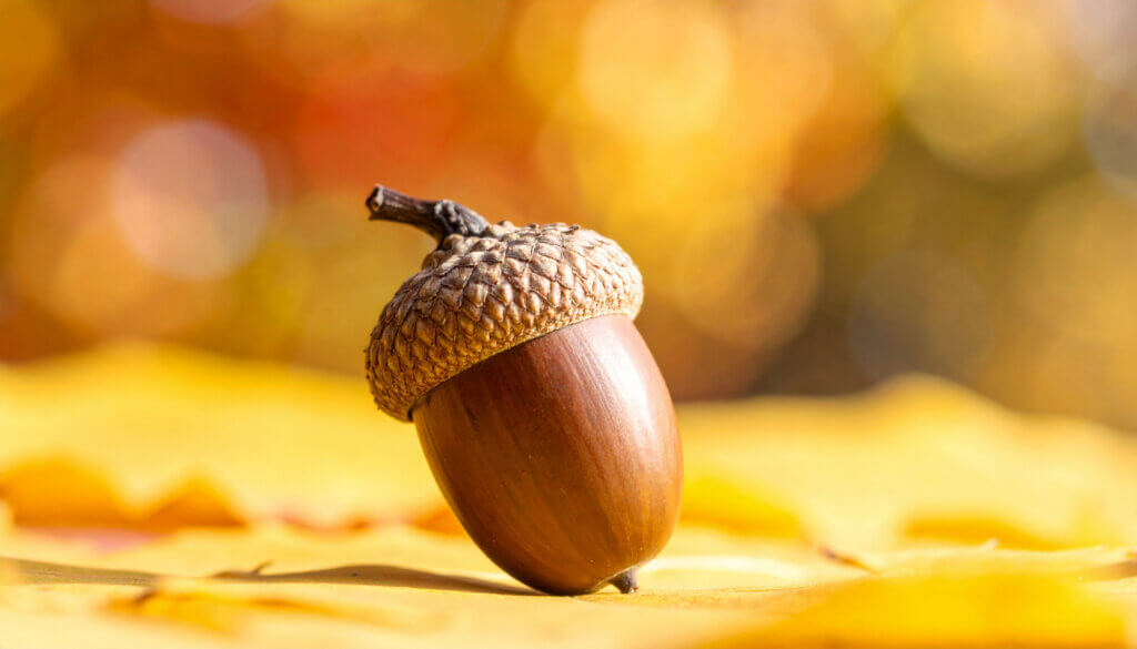 香川県公立高校入学定員発表！