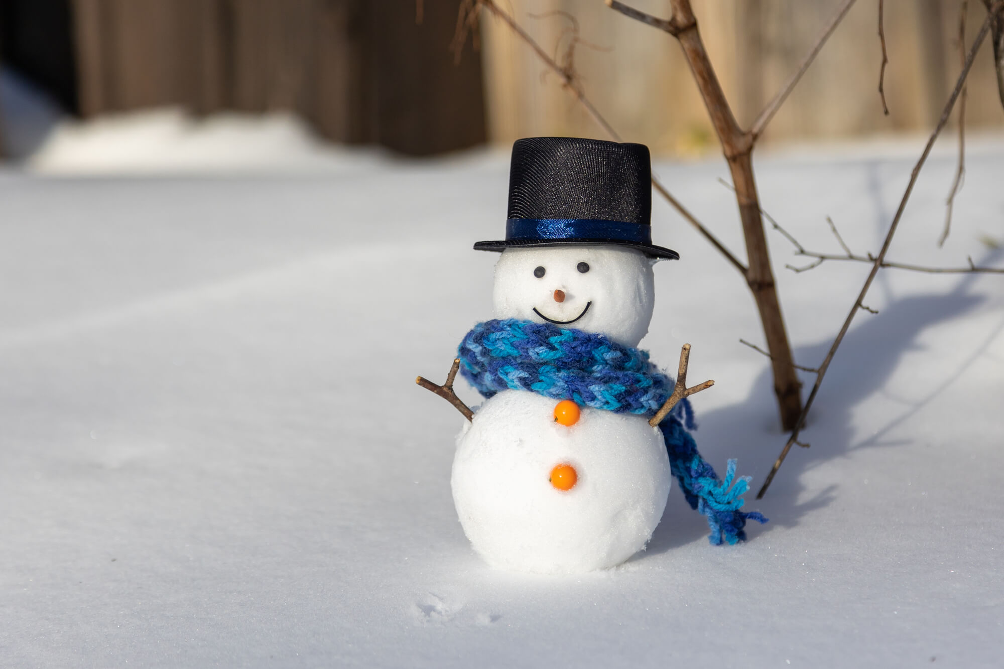 冬休みの勉強は“量よりタイミング”