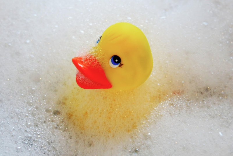 【あひるの】神奈川県公立入試【おもちゃ】