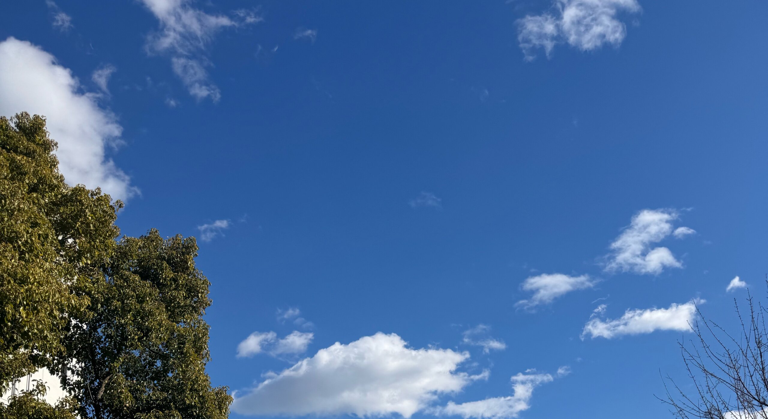 【感動】受験を通して手に入るのは「合格」だけじゃない。