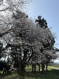 ゴールデンウイーク目の前