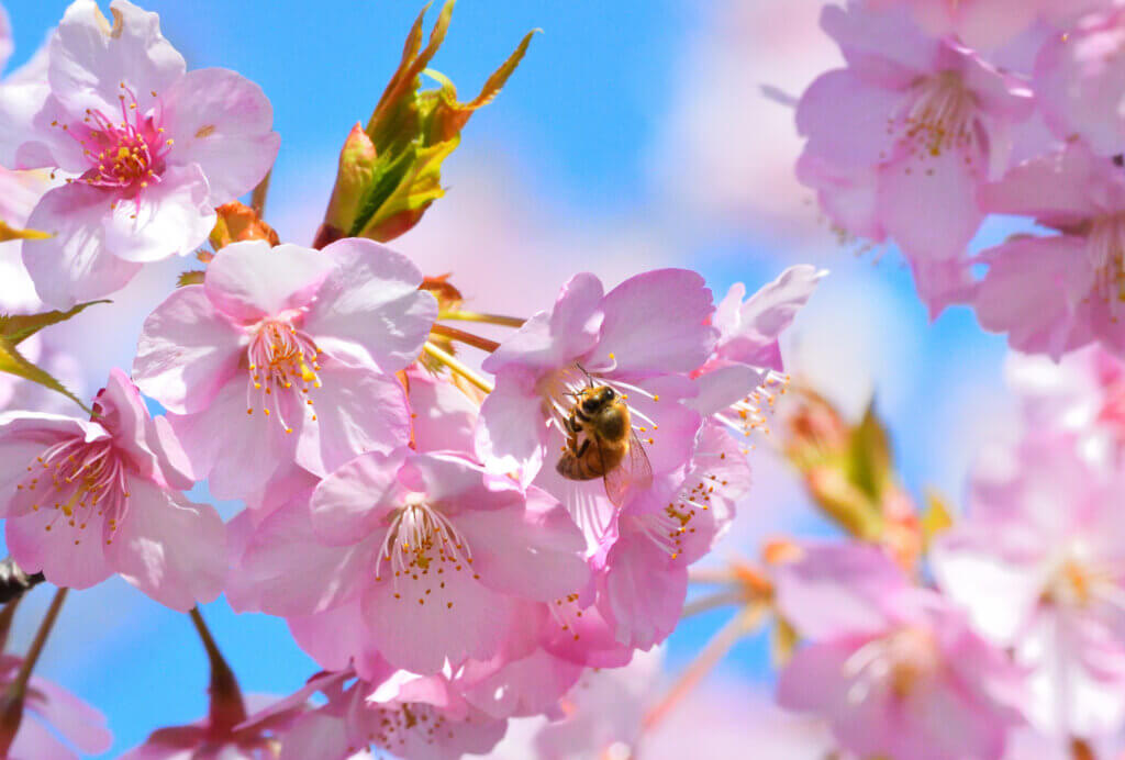 先を見て準備することの大切さ