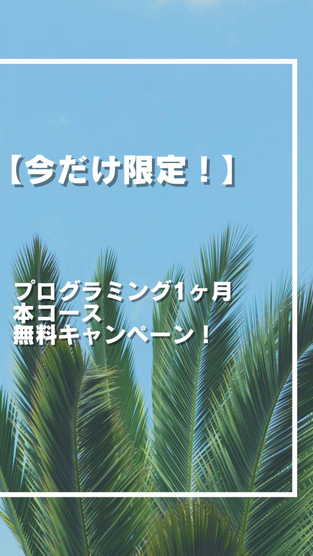 ＼今だけ限定／ プログラミング1ヶ月 本コース無料キャンペーン！