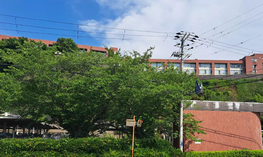 智辯学園和歌山中学校対策コース