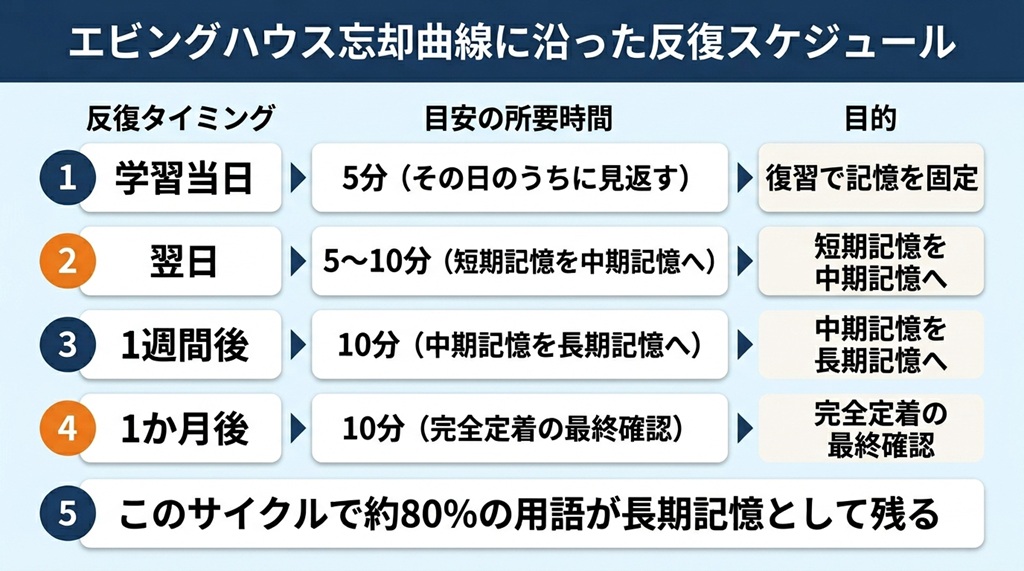 エビングハウスの忘却曲線に基づいた、学習当日・翌日・1週間後・1か月後の反復タイミングを示すスケジュール表