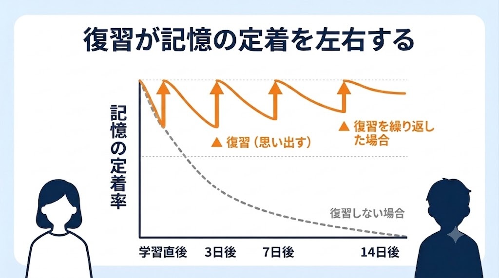 忘却曲線に沿った効率的な復習タイミングを示す図。学習から1日以内、3日後、7日後、14日後の復習が記憶の定着を助けることを視覚的に表現している。