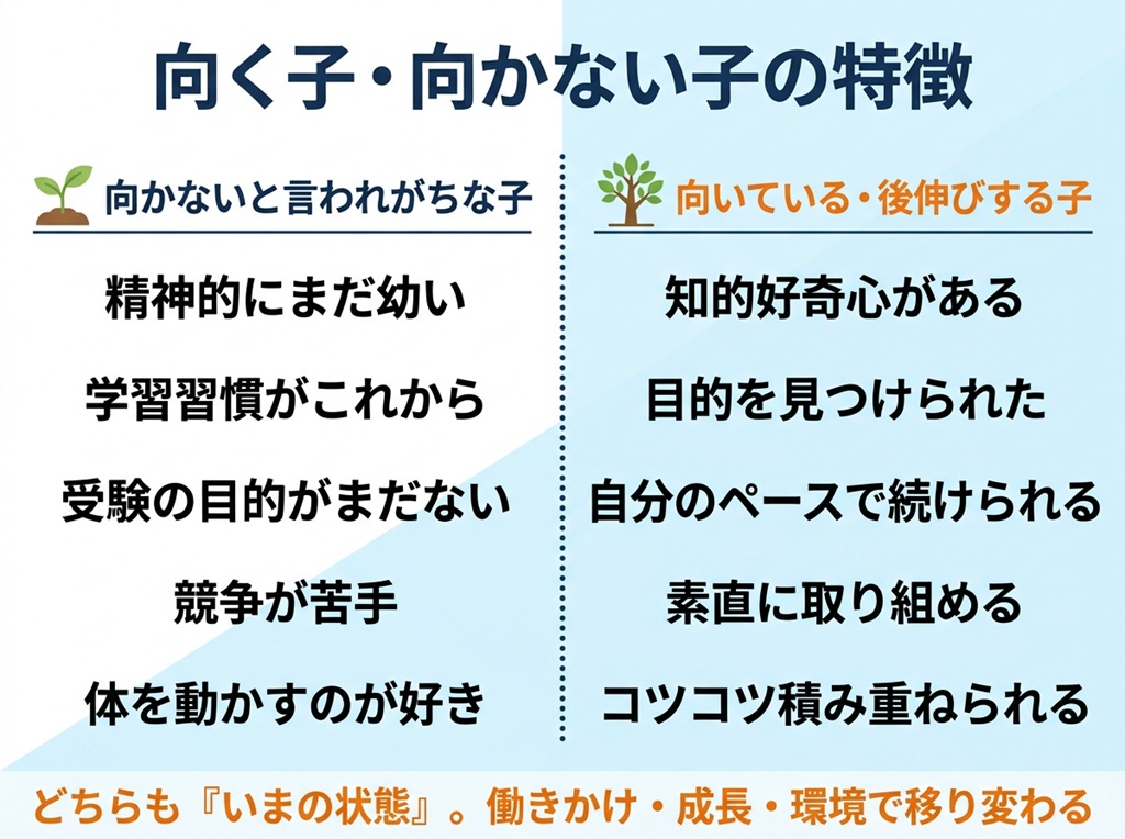 中学受験に向かないとされる特徴(幼さや習慣の未定着など)と、向いている・後から伸びる特徴(自律性や粘り強さなど)を左右に並べて比較した図。