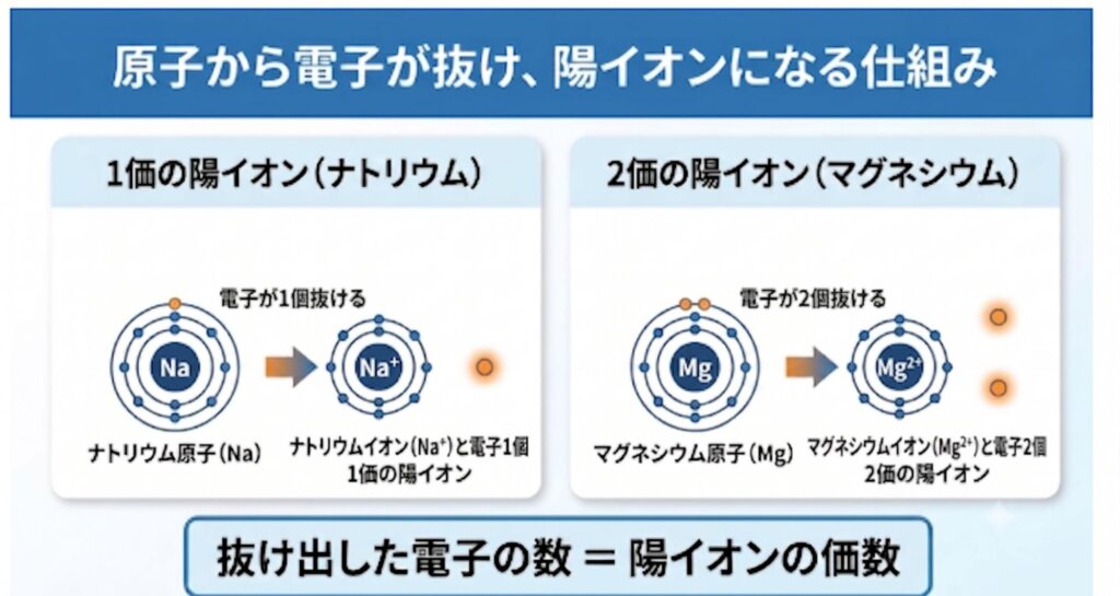 原子から電子が抜け陽イオンになる仕組みの図解。ナトリウム(Na⁺)とマグネシウム(Mg²⁺)を例に、失った電子の数が陽イオンの価数になることを解説している。