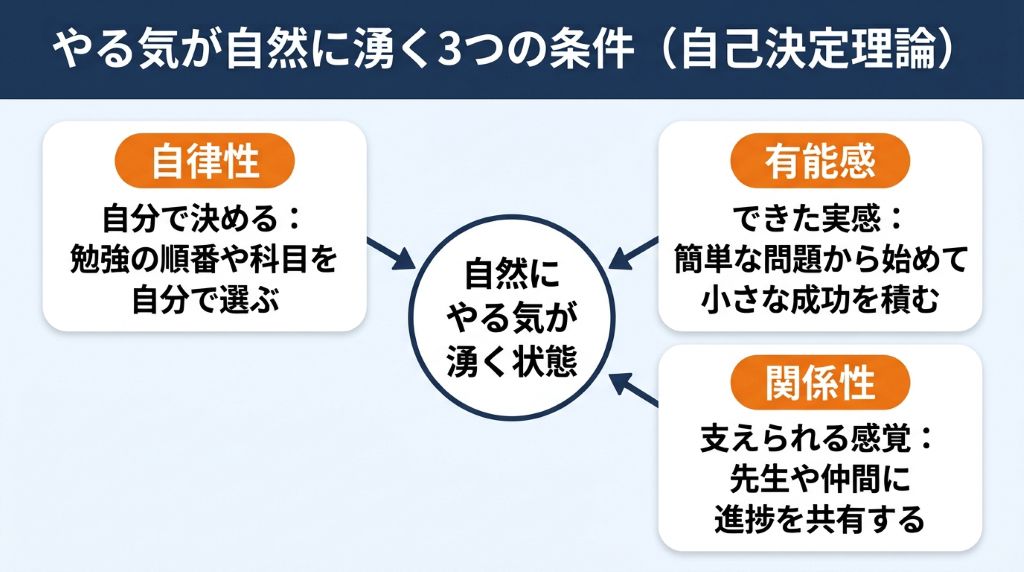内発的動機づけを高める自己決定理論の3要素である「自律性」「有能感」「関係性」の相互関係と、それぞれの欲求を満たす日常の具体策をまとめた図解。